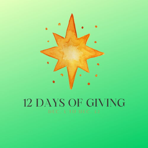12 Days of Giving